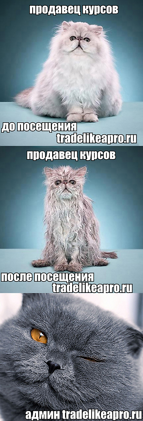 100500.jpg