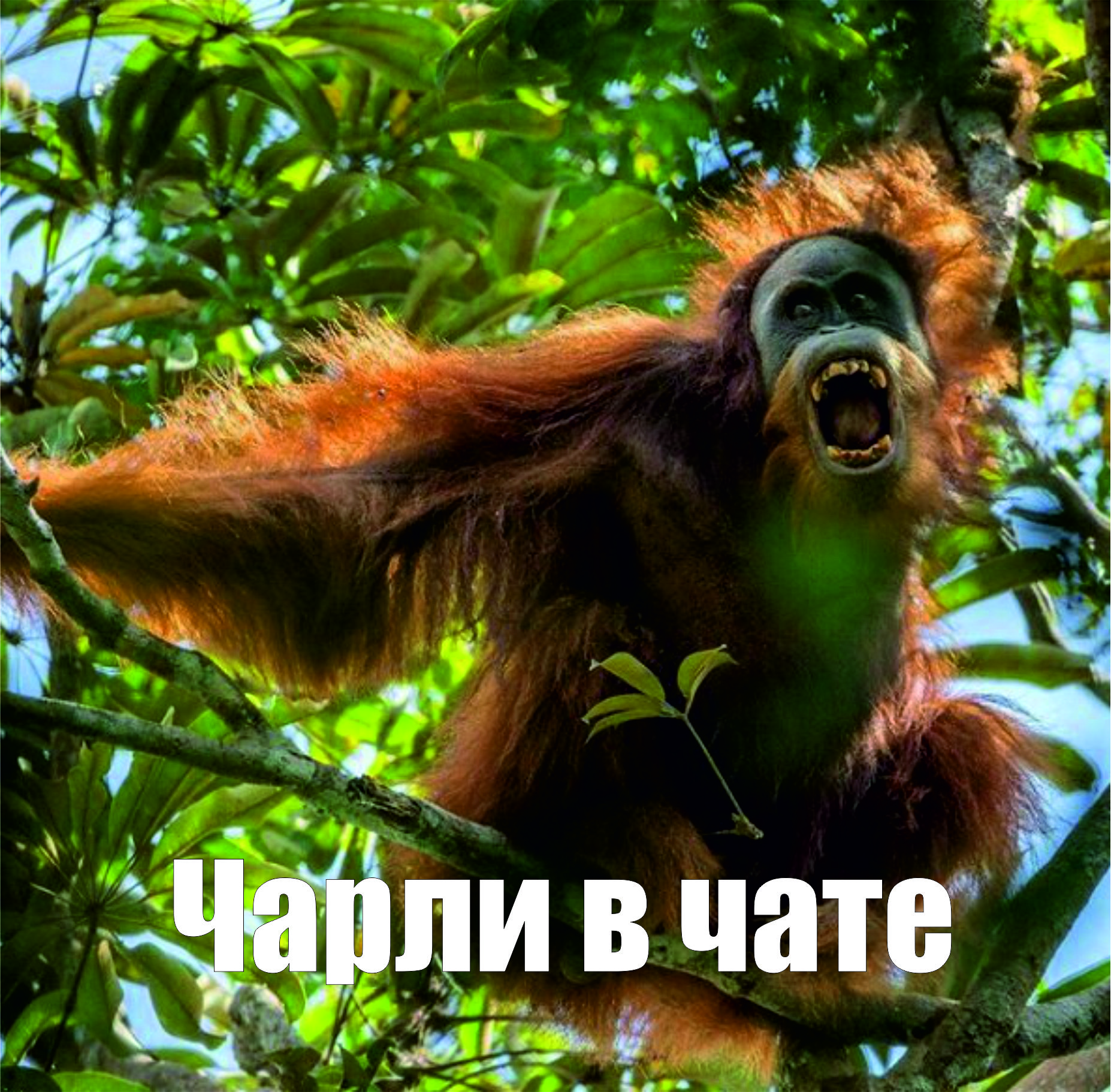 Screenshot_3.jpg