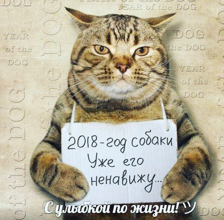 IMG-20171201-WA0002.jpg