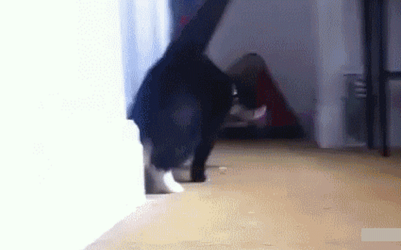 9a6063ca97e2b41376661f5d60532dde8dcb5b9c08c32e1a9ca7488d3a873c47_1.gif