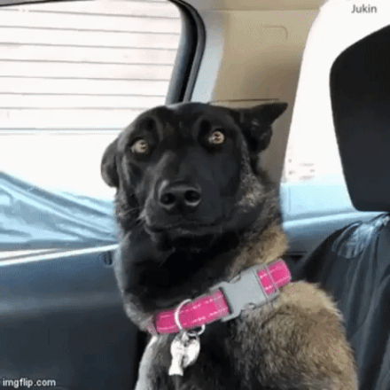 5ad1151148270550c387f17260165809a7805eb667912af3ffc6e93fbc409217_1.gif