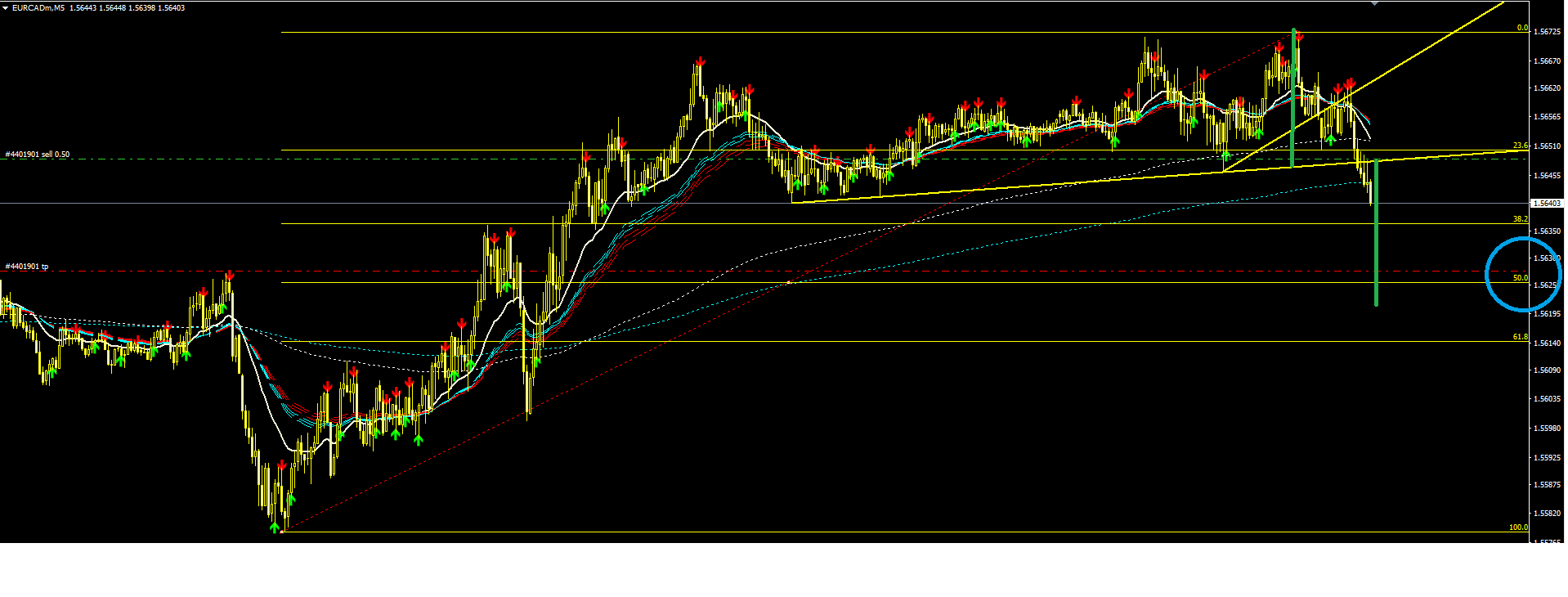 EUD_CAD_3.PNG