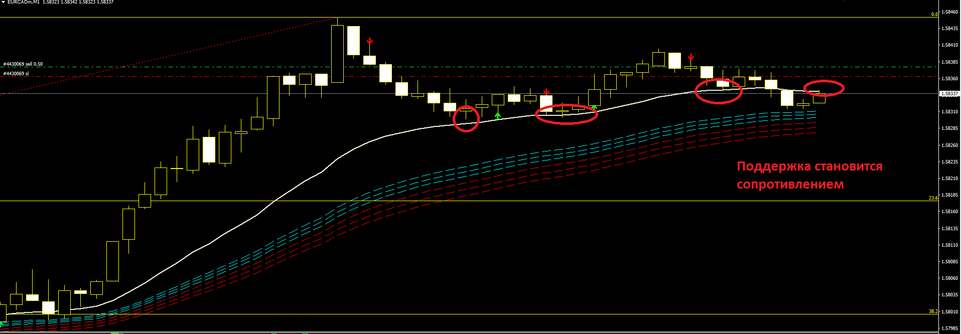 EURCAD4.PNG