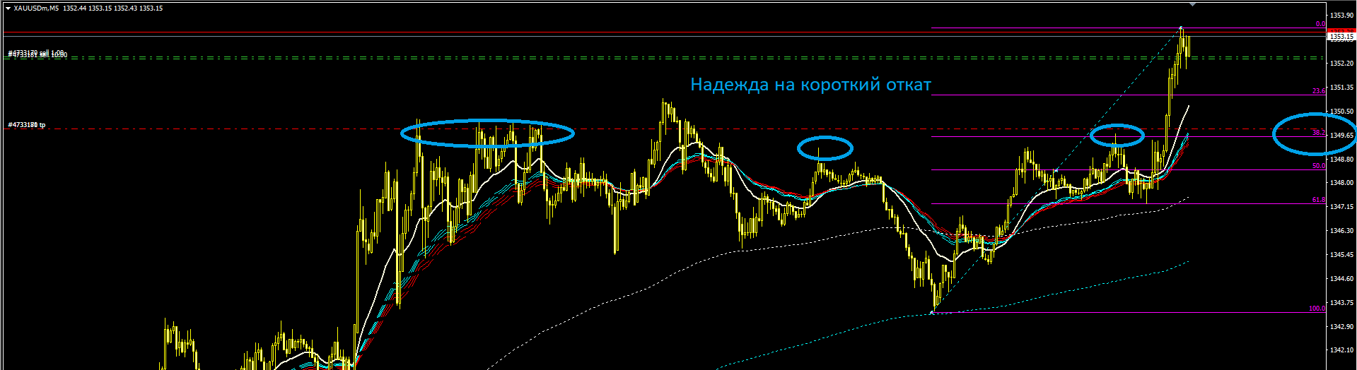 Голда_2.PNG