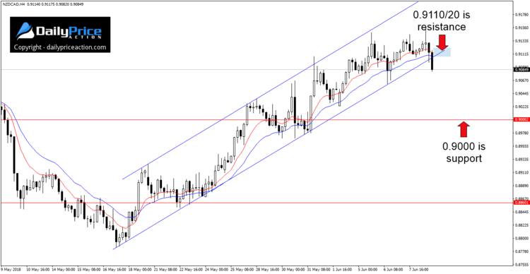 NZDCADH4_New-1.png