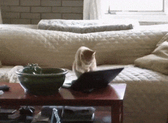 ckbd.gif