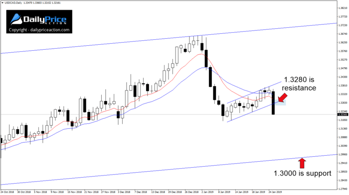 USDCADDaily_New-4.png