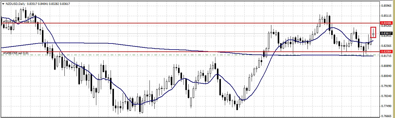 nzd.jpg