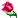 :rose<