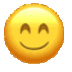 :631466115_10_SmilingFaceBlushing_72pf: