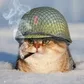 Аватар mironrzg