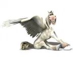 Аватар pegaskrs