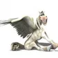 Аватар pegaskrs