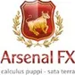 Аватар Arsenal-FX