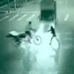 Аватар лягушка-путешественница