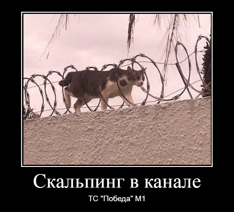 dem_5d0623b51e398.png