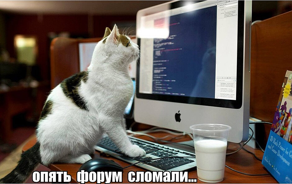 сломали форум.jpg