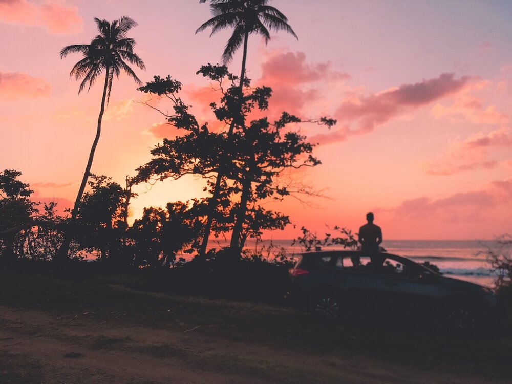 backlit-beach-dawn-2470399.thumb.jpg.daae21c9ce10828348081675d0890342.jpg