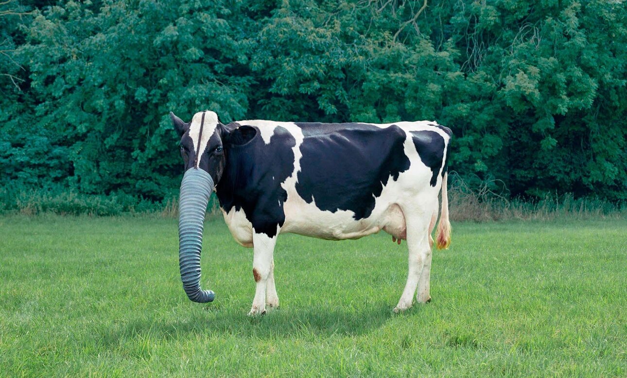 1.thumb.jpg.2b11ed441dfb8c6804790f86d1f47982.jpg