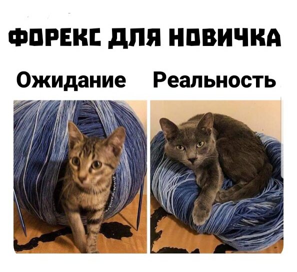 20191229_104457.jpg.07cfa905aaf01f9444f2cba356e5fed3.jpg