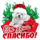 Аннотация 2019-12-18 192854.png