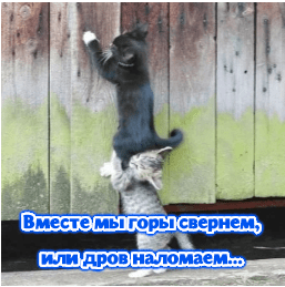 Аннотация 2019-12-24 210126.png