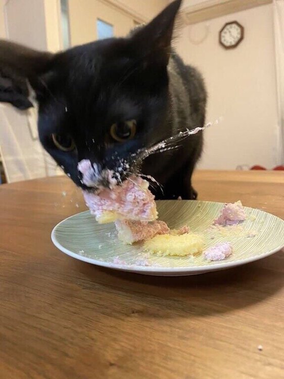 9kBqXDRTXBM.thumb.jpg.3c06578631bd720442fae9c9a1ba91ed.jpg