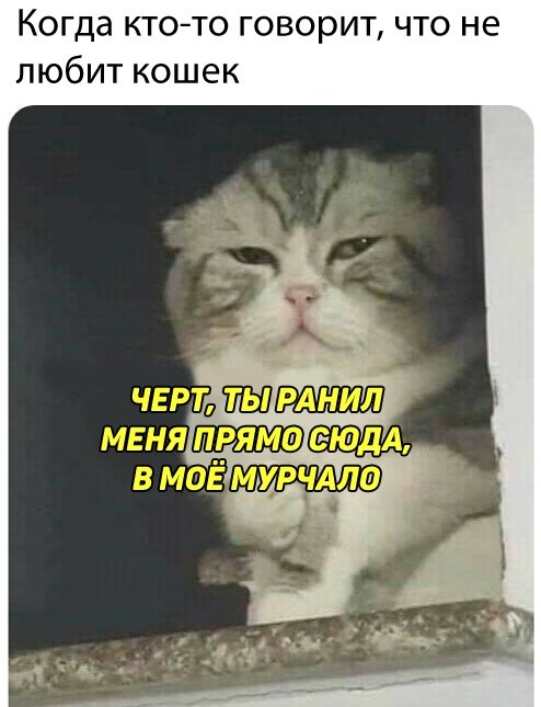 KTvXfE22JOI.jpg