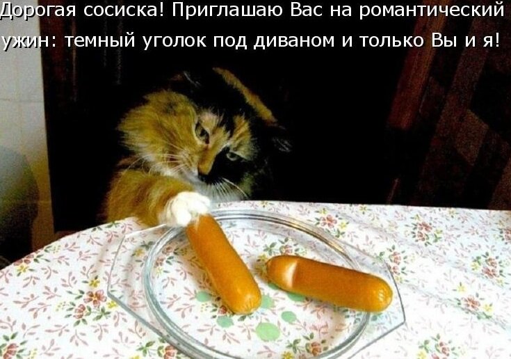 Романтическое свидание.jpg
