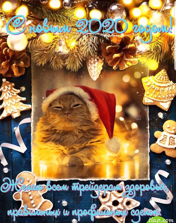20191231_154430.thumb.jpg.d7bd918c82f9a5d0aab764ec874ea0e2.jpg