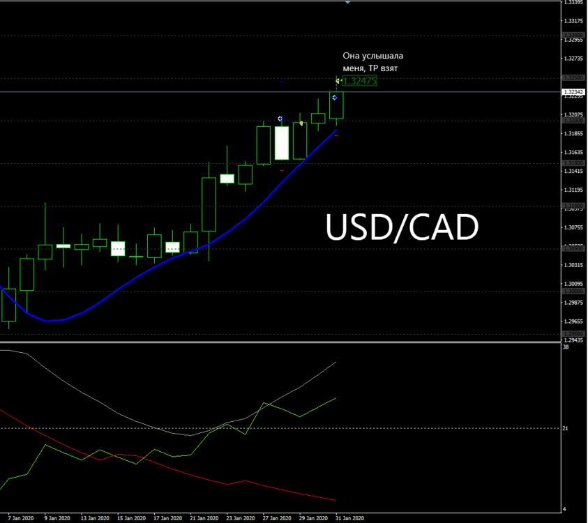 USDCAD_5.png