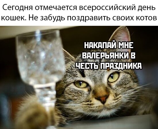 9PxUBrCFhcc.jpg
