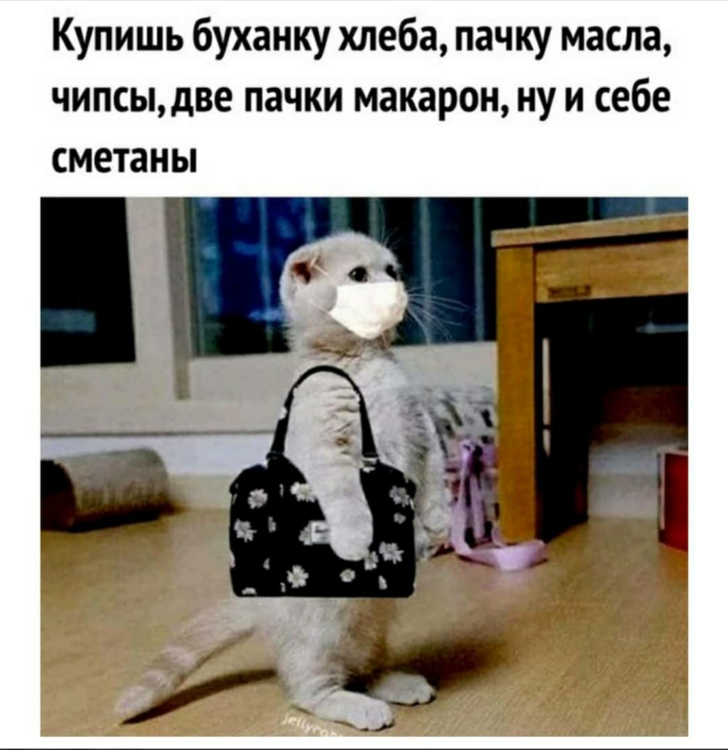 image.thumb.png.aa64f14ea3b60f85da8f4ea78982aaff.png