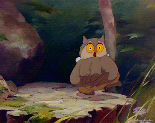 orig.gif.1d16061aa2094098f2c8379d60510893.gif