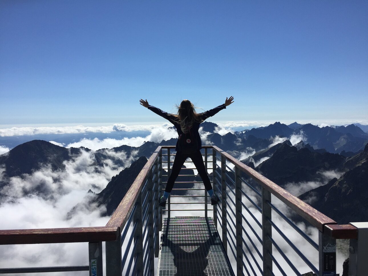 person-standing-on-hand-rails-with-arms-wide-open-facing-the-725255.thumb.jpg.de6d7bccc189379b6b890b6ddc2ccf8b.jpg