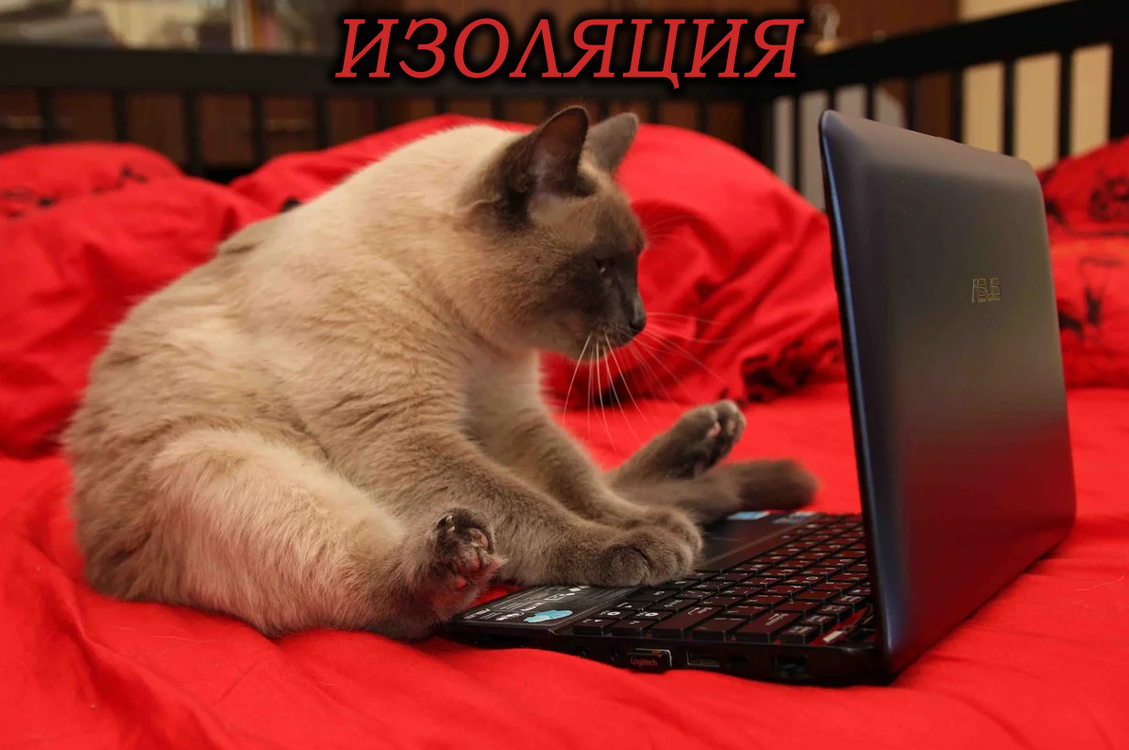 1360376911_.thumb.PNG.bd465d1837d7870e7135246a522cb614.PNG