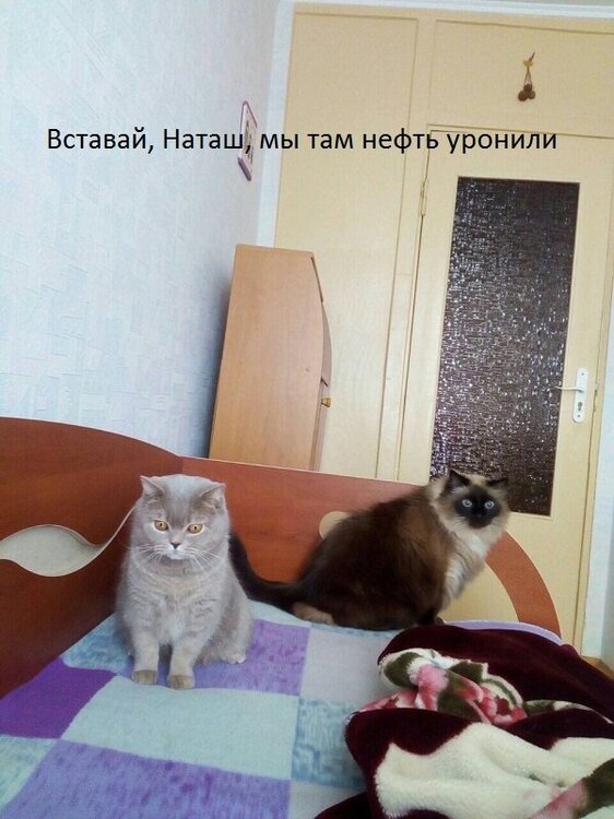 ууууу.jpg