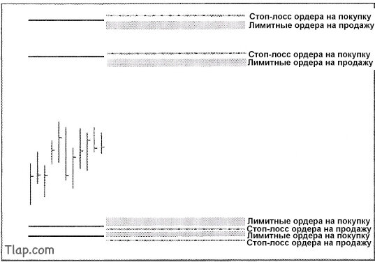 40.jpg.c18a5a6496ebd9e643b2c2c3658d04d6.jpg