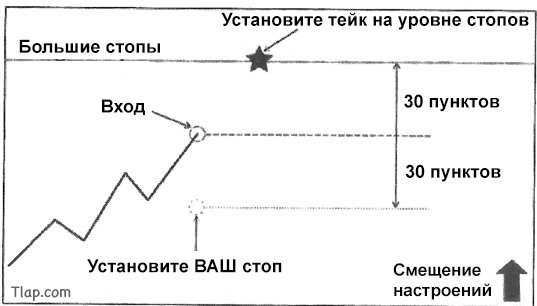 20.jpg.86b793a3ca3eaa7193801ff71d88d55e.jpg