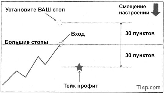40.jpg.02110be09332d83eec38a1f84265a269.jpg