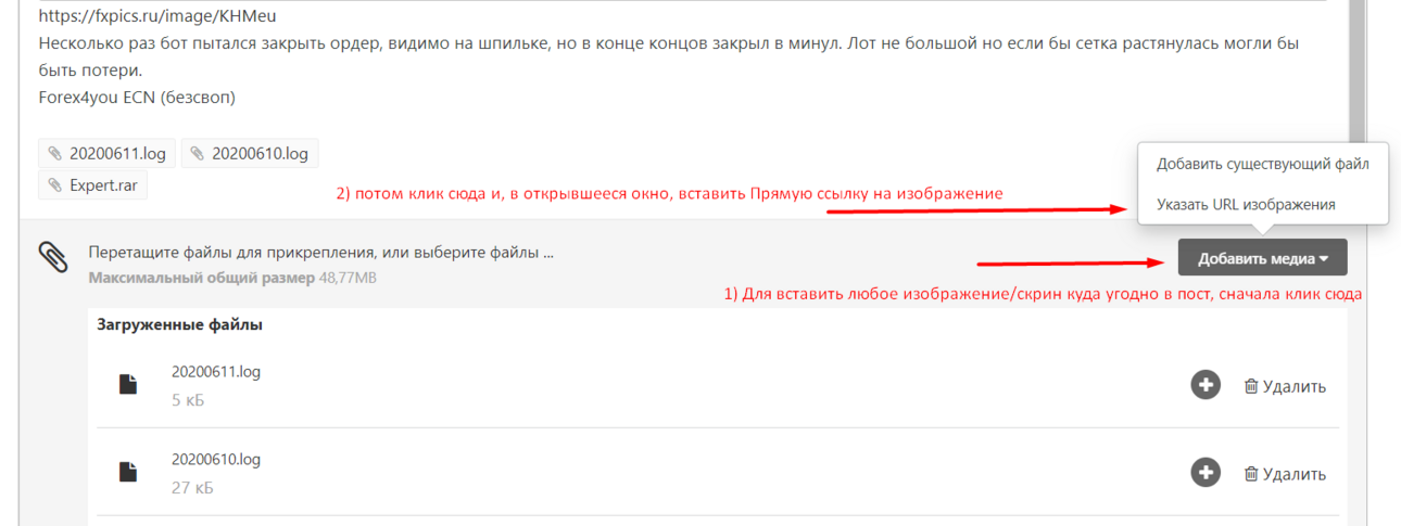 FxPics - вставка в пост Прямой ссылки на изображение из FxPics.png