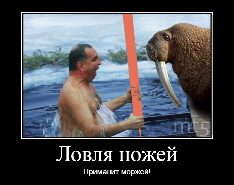 dem_5ef59b3118071.png.ad520c3235ec9e6b0f911c64c2207e2c.png
