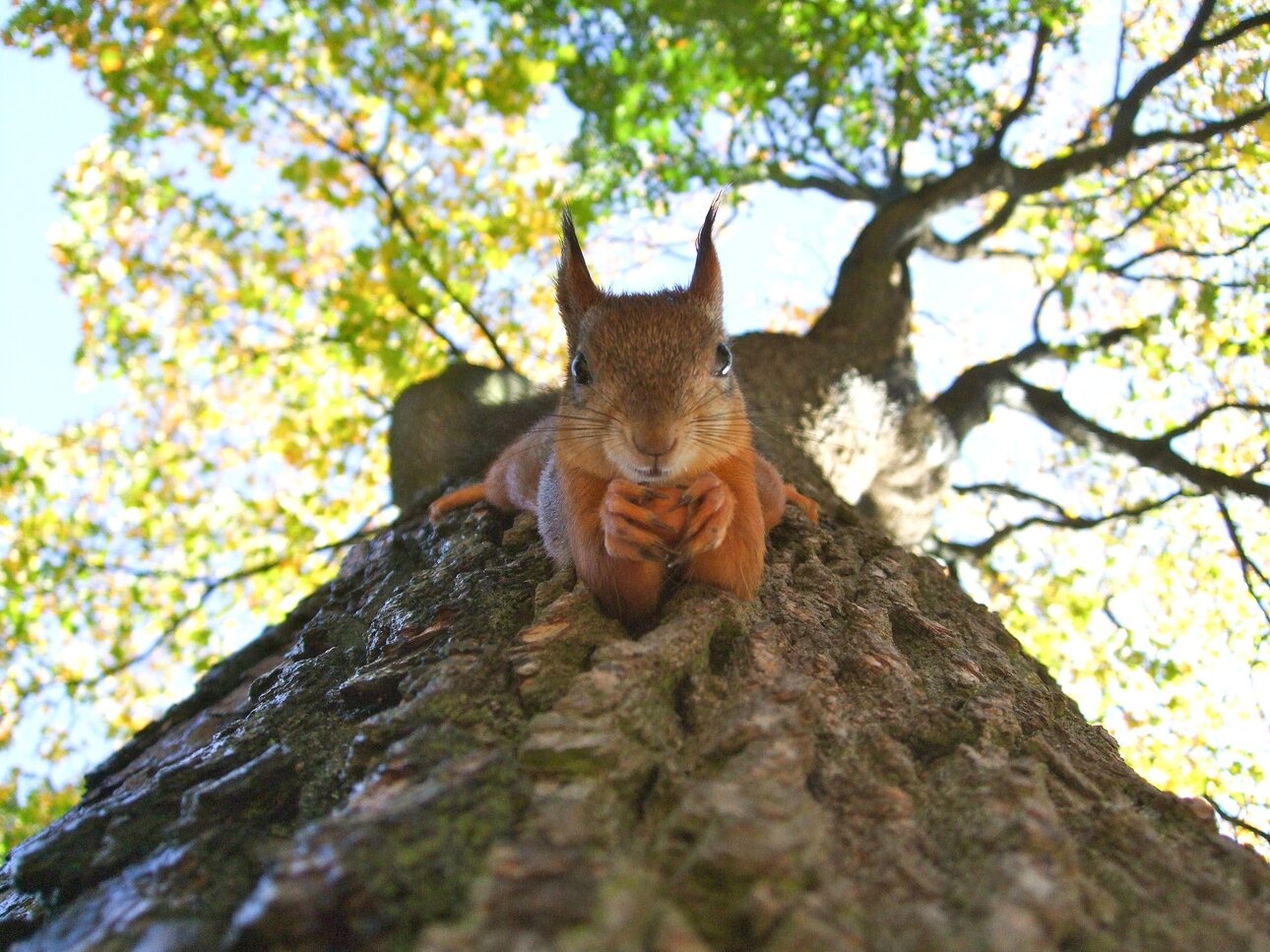 toimetaja-tolkeburoo-qyt0cPByJjs-unsplash.thumb.jpg.450c8b994f64723d848948fd1e37f44f.jpg