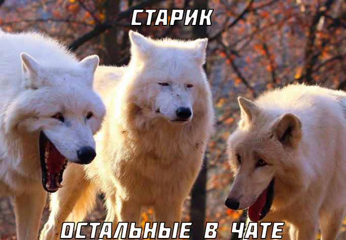 cUwT-jdkBq0.png.d9da6c4e4ad088d5186786a6525804a5.png