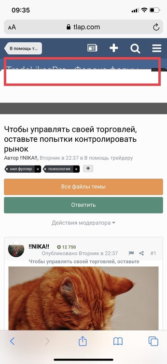 12B80EE4-BB41-46EF-847B-CE7D05D68C22.jpeg