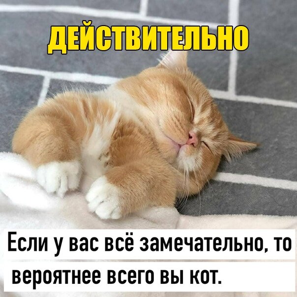 CLIe2vn-zLo.jpg.65d0c9471fa16197a6552edc4b35c177.jpg