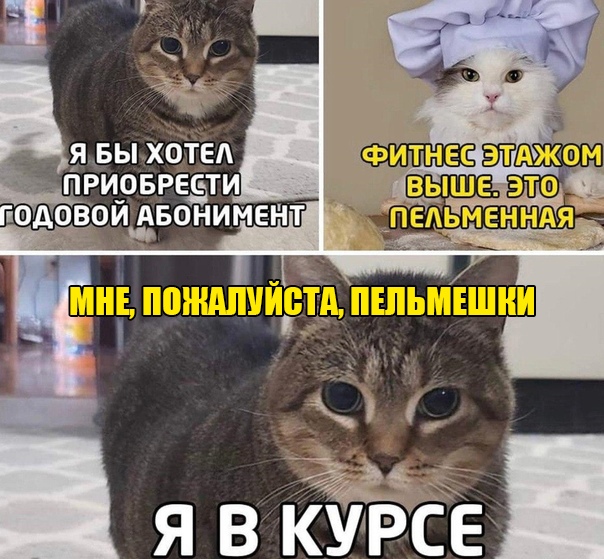 JC2OFLwVPu4.jpg.6bcd4f4b1fee909a953359d89db4f355.jpg