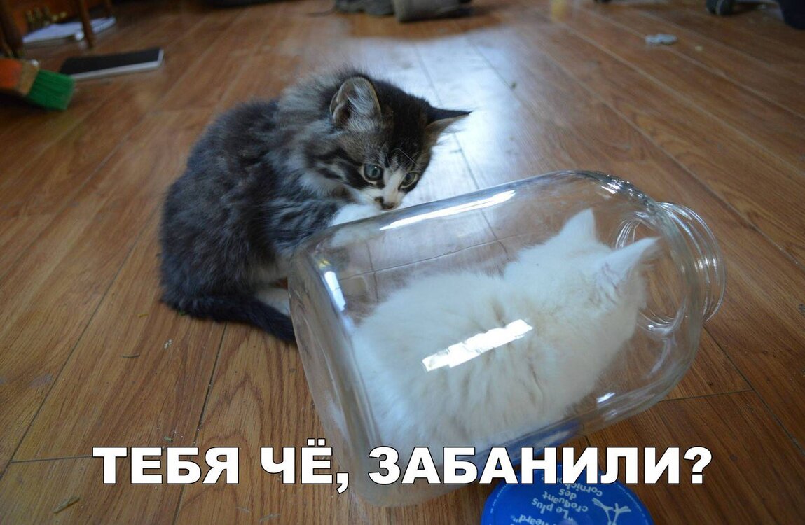lZq7o9VRdvQ.thumb.jpg.30fe1adb498ed8d1a865f7655a5a16a5.jpg