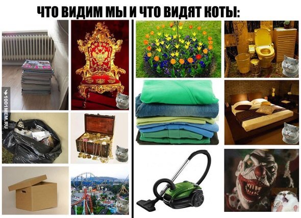 yTT9Ux0uoXo.jpg.d221dd0b8a4b584f72572bcd77765581.jpg