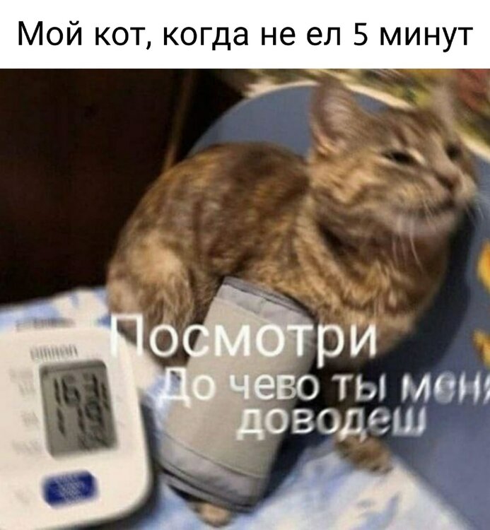 H_y_Yy1xWZI.jpg